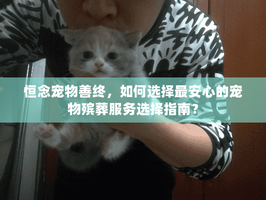 恒念宠物善终，如何选择最安心的宠物殡葬服务选择指南？