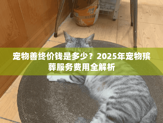 宠物善终价钱是多少？2025年宠物殡葬服务费用全解析