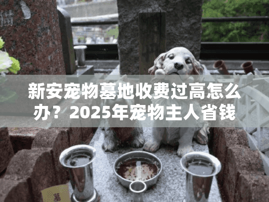 新安宠物墓地收费过高怎么办？2025年宠物主人省钱实战秘笈
