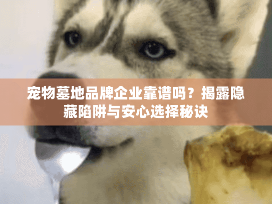 宠物墓地品牌企业靠谱吗？揭露隐藏陷阱与安心选择秘诀