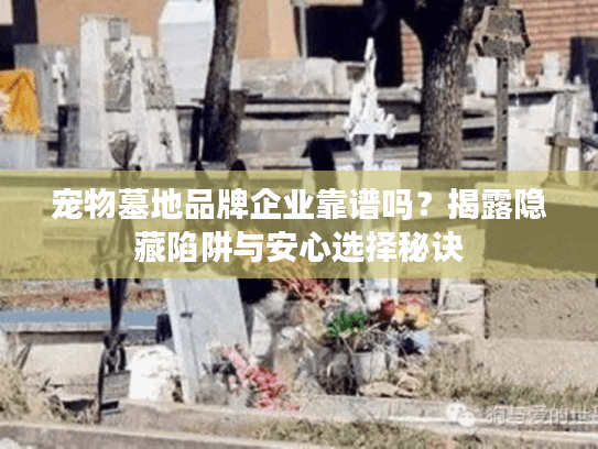 宠物墓地品牌企业靠谱吗？揭露隐藏陷阱与安心选择秘诀