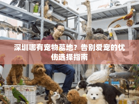 深圳哪有宠物墓地？告别爱宠的忧伤选择指南