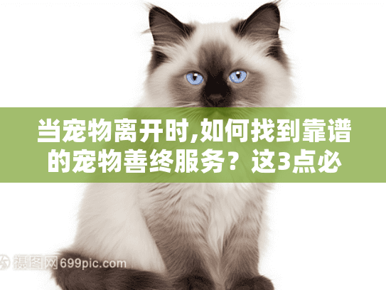 当宠物离开时,如何找到靠谱的宠物善终服务？这3点必须提前了解