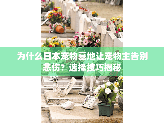 为什么日本宠物墓地让宠物主告别悲伤？选择技巧揭秘