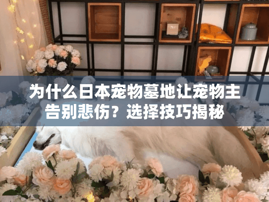 为什么日本宠物墓地让宠物主告别悲伤？选择技巧揭秘