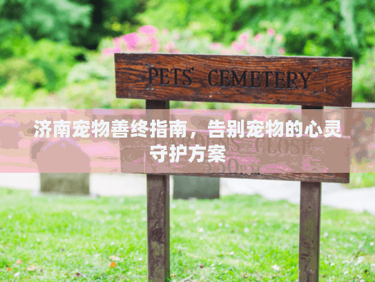 济南宠物善终指南，告别宠物的心灵守护方案