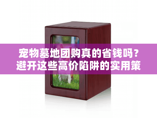 宠物墓地团购真的省钱吗？避开这些高价陷阱的实用策略