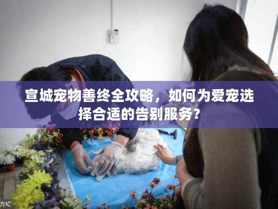 宣城宠物善终全攻略，如何为爱宠选择合适的告别服务？
