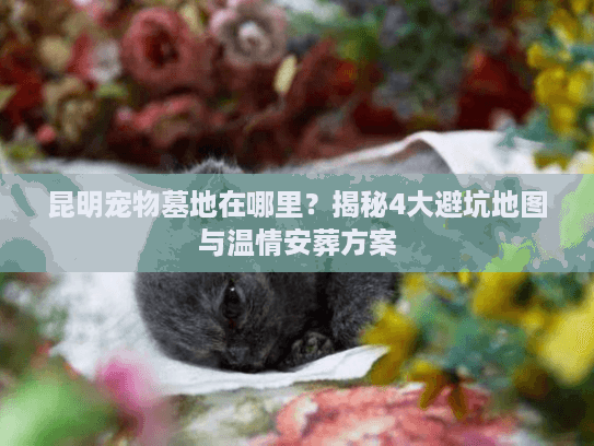 昆明宠物墓地在哪里？揭秘4大避坑地图与温情安葬方案