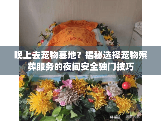 晚上去宠物墓地？揭秘选择宠物殡葬服务的夜间安全独门技巧