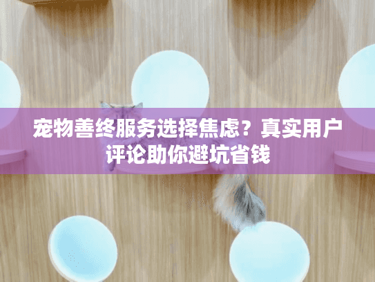 宠物善终服务选择焦虑？真实用户评论助你避坑省钱