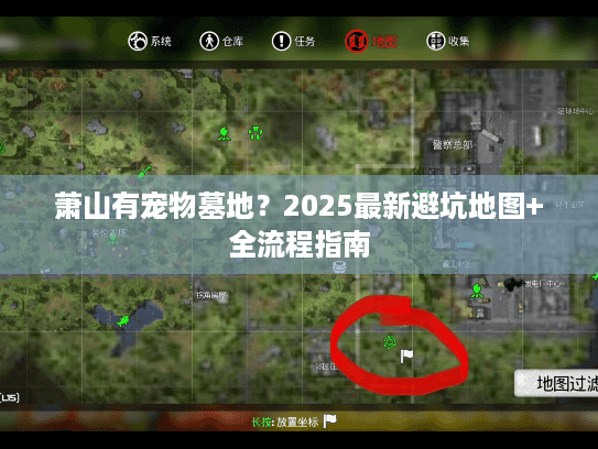 萧山有宠物墓地？2025最新避坑地图+全流程指南