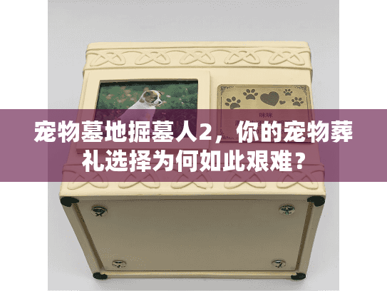 宠物墓地掘墓人2，你的宠物葬礼选择为何如此艰难？