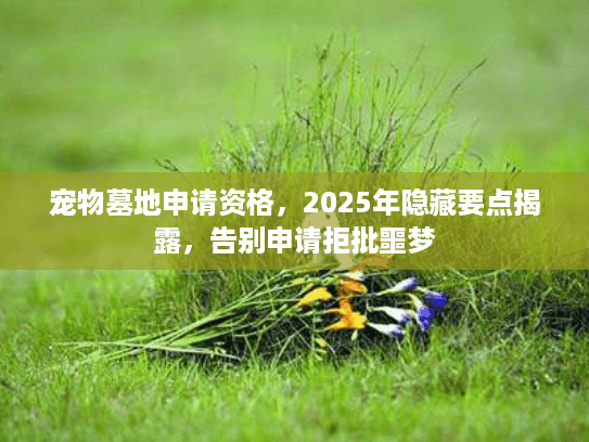 宠物墓地申请资格，2025年隐藏要点揭露，告别申请拒批噩梦