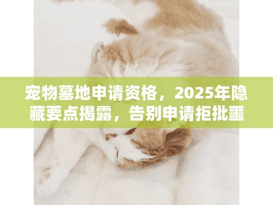 宠物墓地申请资格，2025年隐藏要点揭露，告别申请拒批噩梦