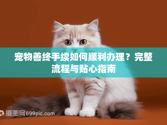 宠物善终手续如何顺利办理？完整流程与贴心指南