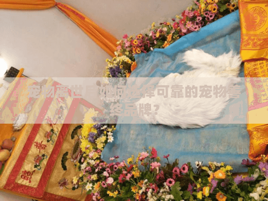 宠物离世后如何选择可靠的宠物善终品牌？
