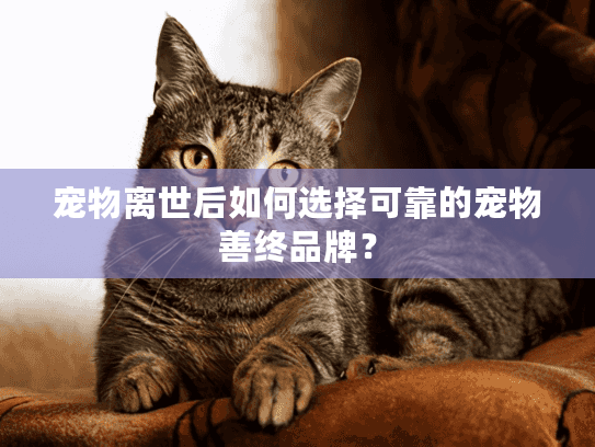 宠物离世后如何选择可靠的宠物善终品牌？