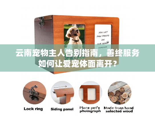 云南宠物主人告别指南，善终服务如何让爱宠体面离开？