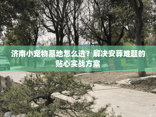 济南小宠物墓地怎么选?解决安葬难题的贴心实战方案 济南小宠物墓地怎么选?解决安葬难题的贴心实战方案