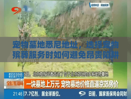 宠物墓地悉尼地址，选择宠物殡葬服务时如何避免昂贵陷阱和情感困扰？