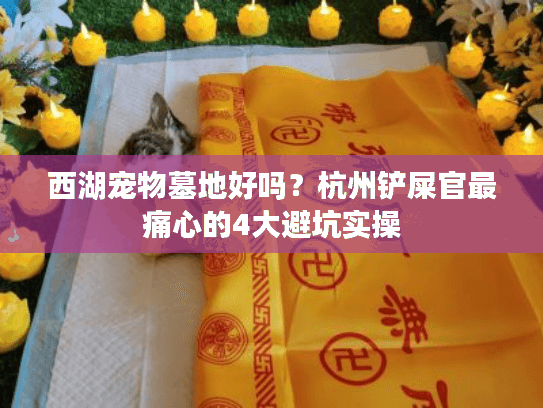 西湖宠物墓地好吗？杭州铲屎官最痛心的4大避坑实操
