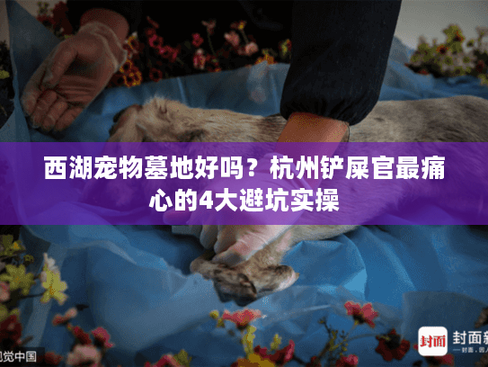 西湖宠物墓地好吗？杭州铲屎官最痛心的4大避坑实操