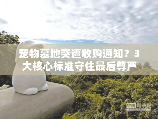 宠物墓地突遭收购通知？3大核心标准守住最后尊严