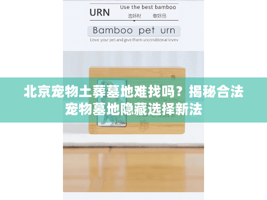 北京宠物土葬墓地难找吗？揭秘合法宠物墓地隐藏选择新法