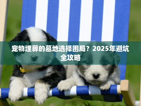 宠物埋葬的墓地选择困局？2025年避坑全攻略