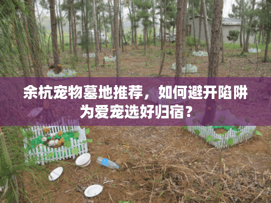 余杭宠物墓地推荐，如何避开陷阱为爱宠选好归宿？