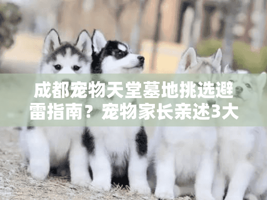 成都宠物天堂墓地挑选避雷指南？宠物家长亲述3大隐藏陷阱