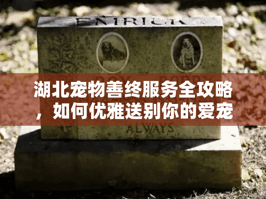 湖北宠物善终服务全攻略，如何优雅送别你的爱宠？