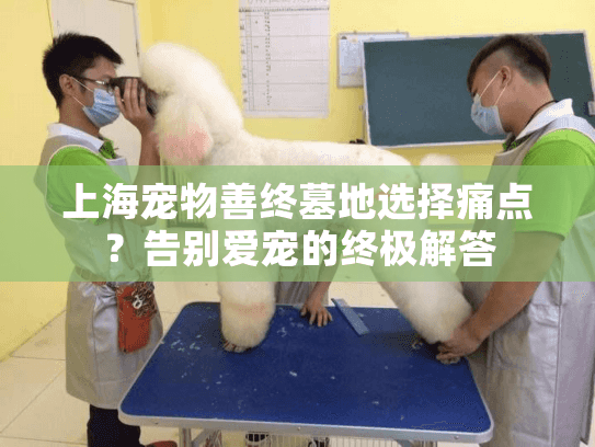 上海宠物善终墓地选择痛点?告别爱宠的终极解答 上海宠物善终墓地选择痛点?告别爱宠的终极解答