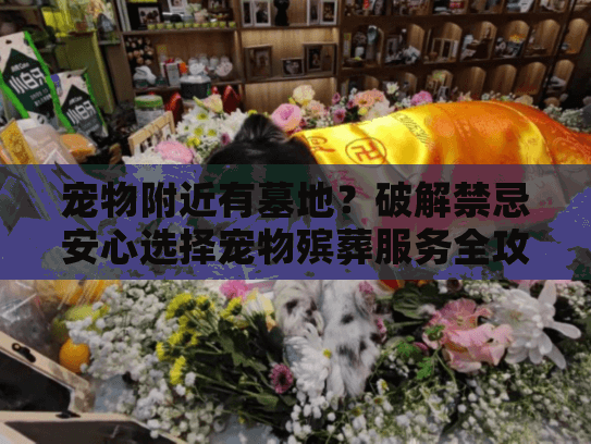 宠物附近有墓地？破解禁忌安心选择宠物殡葬服务全攻略