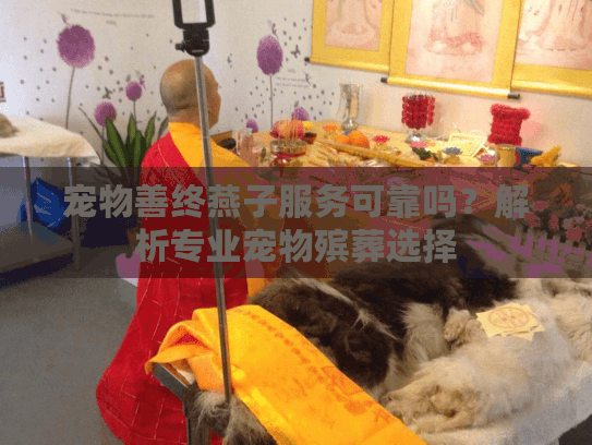 宠物善终燕子服务可靠吗？解析专业宠物殡葬选择