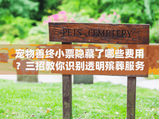 宠物善终小票隐藏了哪些费用？三招教你识别透明殡葬服务