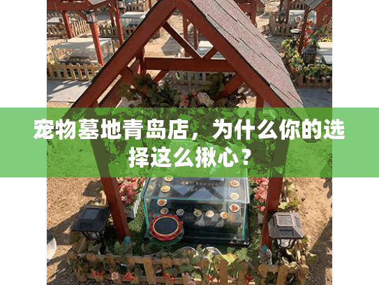 宠物墓地青岛店，为什么你的选择这么揪心？
