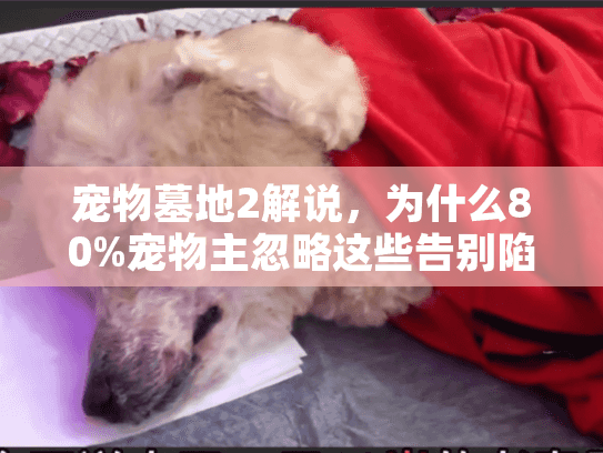 宠物墓地2解说，为什么80%宠物主忽略这些告别陷阱？