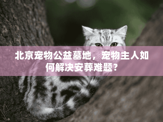 北京宠物公益墓地,宠物主人如何解决安葬难题? 北京宠物公益墓地,宠物主人如何解决安葬难题?