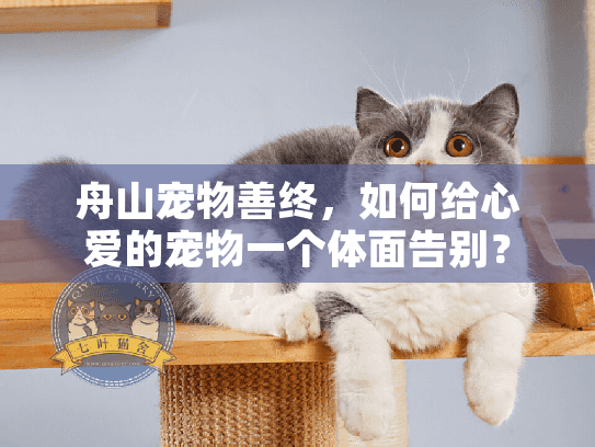 舟山宠物善终，如何给心爱的宠物一个体面告别？