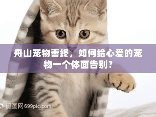 舟山宠物善终，如何给心爱的宠物一个体面告别？