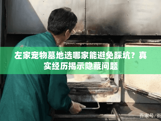 左家宠物墓地选哪家能避免踩坑？真实经历揭示隐藏问题