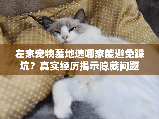 左家宠物墓地选哪家能避免踩坑？真实经历揭示隐藏问题