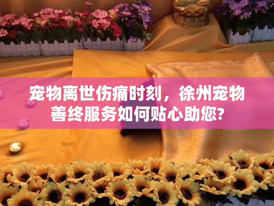 宠物离世伤痛时刻，徐州宠物善终服务如何贴心助您?