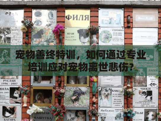 宠物善终特训，如何通过专业培训应对宠物离世悲伤？