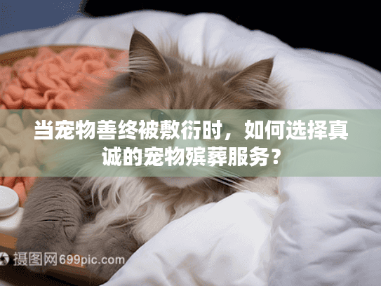 当宠物善终被敷衍时，如何选择真诚的宠物殡葬服务？