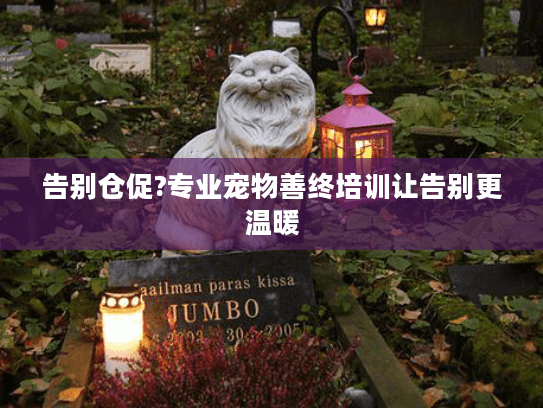 告别仓促?专业宠物善终培训让告别更温暖