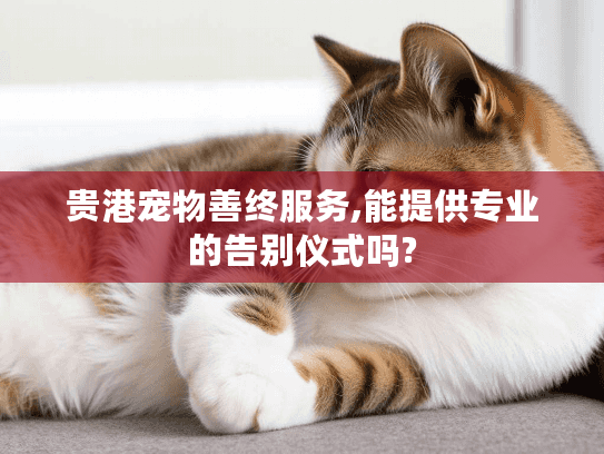 贵港宠物善终服务,能提供专业的告别仪式吗?