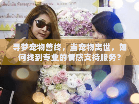 寻梦宠物善终，当宠物离世，如何找到专业的情感支持服务？